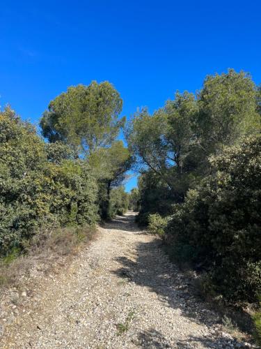 Φυσικό τοπίο κοντά σε αυτή η παραθεριστική κατοικία