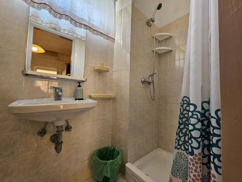 y baño con lavabo y ducha. en Apartments La Pergola, en Rovinj