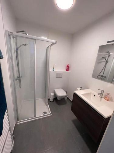 La salle de bains est pourvue d'une douche, de toilettes et d'un lavabo. dans l'établissement brugsken, Sint-Niklaas, à Saint-Nicolas