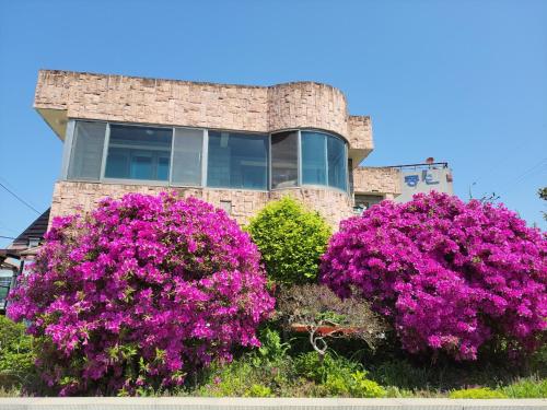 a house with pink flowers in front of it at JNW MINBAK in Damyang