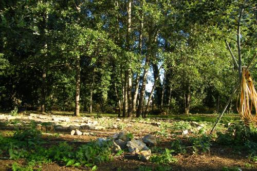 Le Sanglier Sauvage – Photos 3