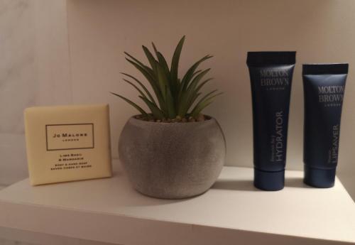 a shelf with a potted plant and two products on it at Nord Guesthouse in Néos Pírgos
