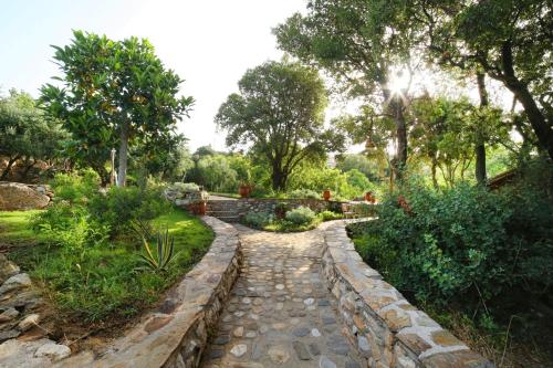 a stone path in a garden with trees at Captain Ikaros in Agios Kirykos