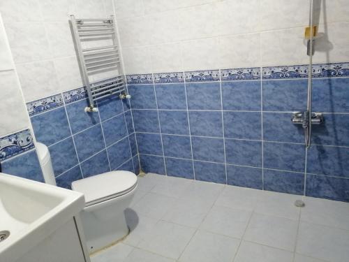 ein Bad mit einem WC und einer Dusche in der Unterkunft İstanbul Havalimanı 30 Dakika in Sultançiftliği Köyü