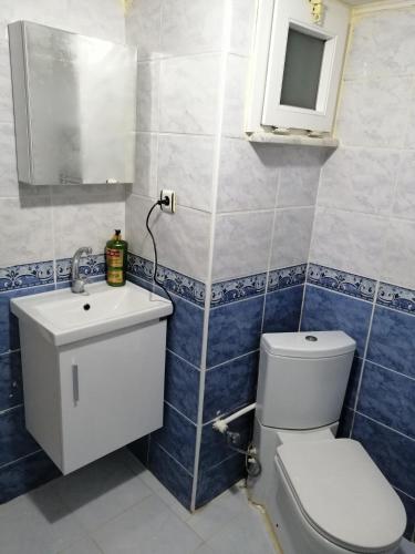 ein Bad mit einem WC und einem Waschbecken in der Unterkunft İstanbul Havalimanı 30 Dakika in Sultançiftliği Köyü