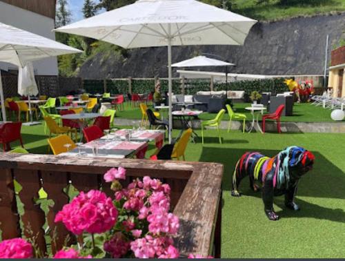 a dog wearing a scarf standing in a yard with tables and chairs at Hotel Le Blanche Neige in Valberg
