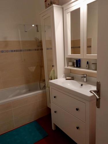 A bathroom at Comfortable and welcoming apartment in Avignon