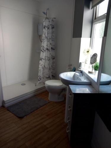 ein Bad mit einem WC, einem Waschbecken und einer Dusche in der Unterkunft Carron House Holiday Apartments in Skegness