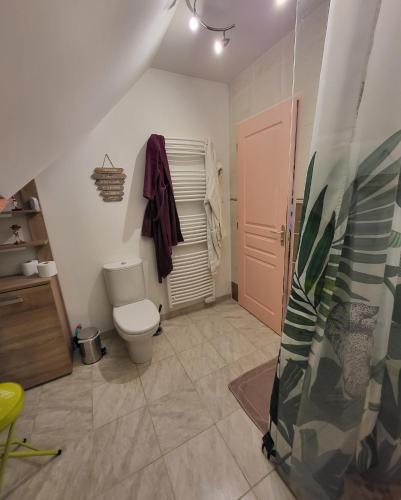 een badkamer met een toilet en een roze deur bij Chez Kate et lolo in Senneville-sur-Fécamp
