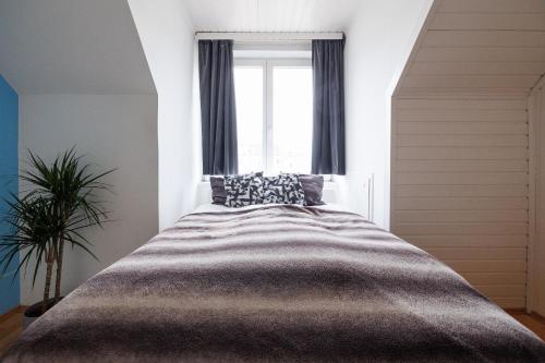 Cozy Apartment near Center