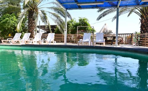 a swimming pool with lounge chairs and palm trees at YalaRent Valley view Boutique cottages with Pool in Merhavyāh