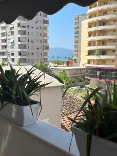 dwie rośliny doniczkowe na balkonie z budynkami w obiekcie Iljazi's Apartaments we Wlorze