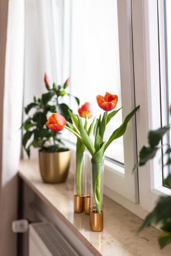 a group of flowers in vases on a window sill at City-House-Achern in Achern