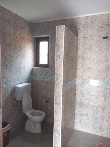 a bathroom with a toilet and a shower with a window at Casa Lia Figa in Beclean