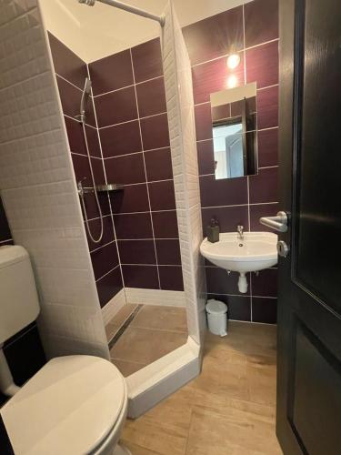a bathroom with a shower and a toilet and a sink at New Beachapartman in Siófok