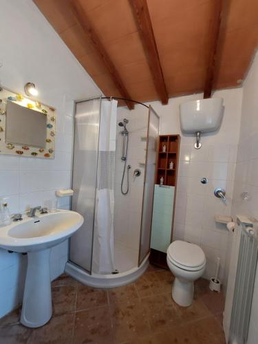 y baño con ducha, lavabo y aseo. en Casale le Piagge en Roccastrada