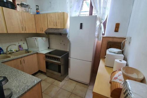Elle comprend une petite cuisine équipée d'un réfrigérateur et d'un évier. dans l'établissement Villa Galini, à Katakolon