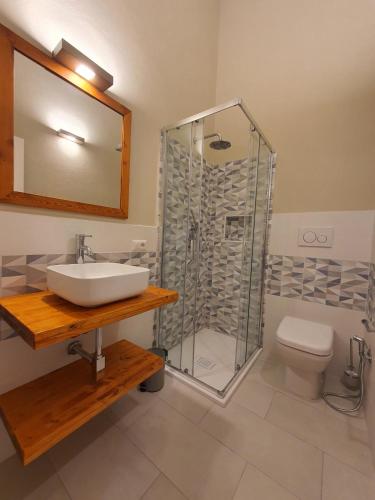 a bathroom with a sink and a shower and a toilet at Monolocale Porto Coda Cavallo in Capo Coda Cavallo