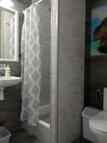 スバジェボにあるAnrema - Pokoje 21m2のバスルーム(シャワー、トイレ、シンク付)