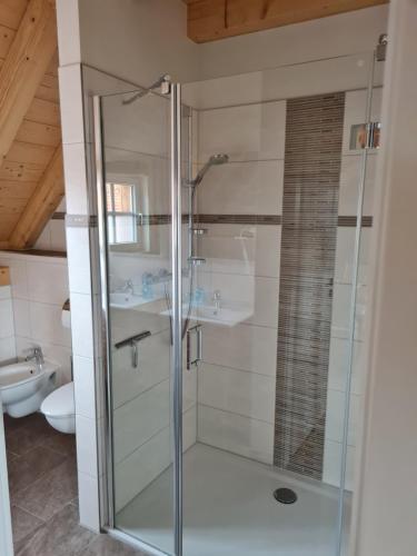 a glass shower in a bathroom with a sink at Lerchenberghof - barrierefreies Familien Landhotel mit FeWo, FeZi - Spielplatz Reiten Segway PT und mehr in Kottmar