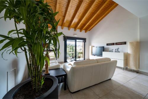 Apartaments Tee & Sea في سانتا كريستينا دارو: غرفة معيشة بها أريكة بيضاء وزرع