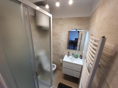 bagno con doccia, lavandino e servizi igienici di Apartmani Bozic-Tokic a Krk