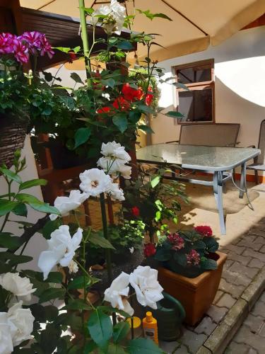 een tuin met bloemen en een tafel in een kamer bij U paní malířky in Valtice