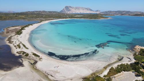 eine Luftaufnahme einer Insel im Ozean in der Unterkunft ISS Travel, Gli Asfodeli - Large apartments with private terrace in San Teodoro