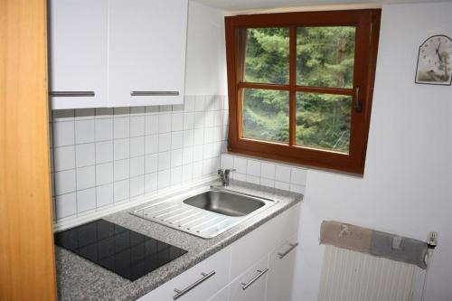 a kitchen with a sink and a window at Heidhöhe, Ferienwohnung in Jesteburg