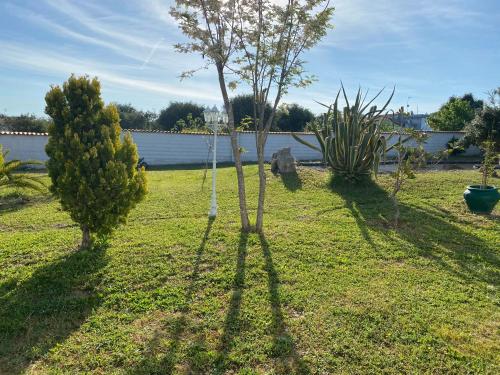 a group of trees in a yard next to a body of water at Il Ronchetto in Sorso
