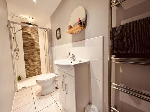 y baño con aseo, lavabo y ducha. en Cosy cottage four miles from Lincoln city centre, en Lincoln