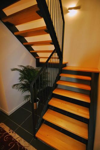 a staircase with wooden treads and a potted plant at Museo Ostello in Ospitale di Cadore