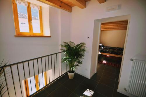 a hallway with a staircase with a potted plant at Museo Ostello in Ospitale di Cadore