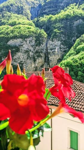a red flower with a view of a mountain at Museo Ostello in Ospitale di Cadore
