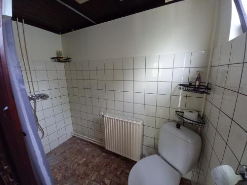 a small bathroom with a toilet and a shower at Natuurhuisje Eartswoud in Aartswoud
