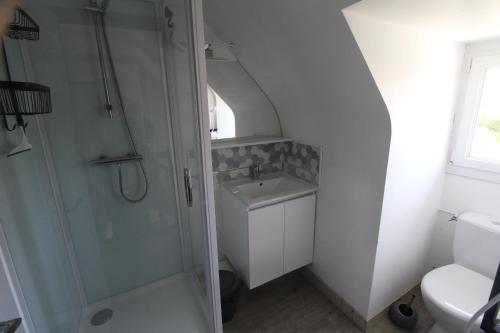 ルデアックにあるstudio ouest cuisine privé proche centre villeのシャワー、洗面台、トイレ付きのバスルーム
