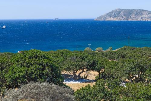 a group of trees in front of the ocean at VIRI VIRI APARTMENTS in Lilikás