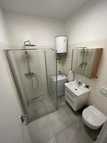 a bathroom with a shower and a toilet and a sink at Apartman Diana in Mali Lošinj