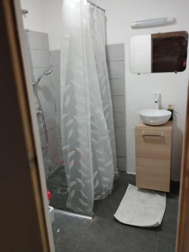 een badkamer met een douchegordijn en een wastafel bij Maison village proche Cévennes in Lèzan