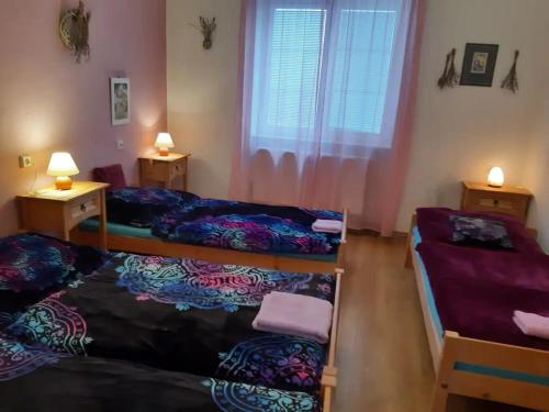 een kamer met 2 bedden, 2 tafels en een raam bij U paní malířky in Valtice