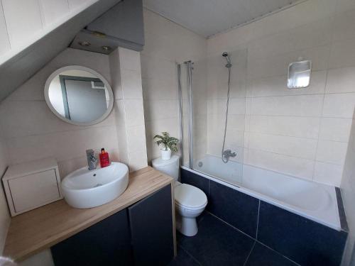 ein Badezimmer mit einem Waschbecken, einem WC und einem Spiegel in der Unterkunft Wolu Room in Brüssel