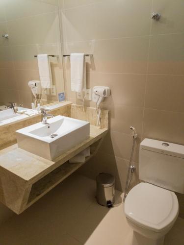 a bathroom with a sink and a toilet and a mirror at Ibiza Plaza Hotel in Anápolis