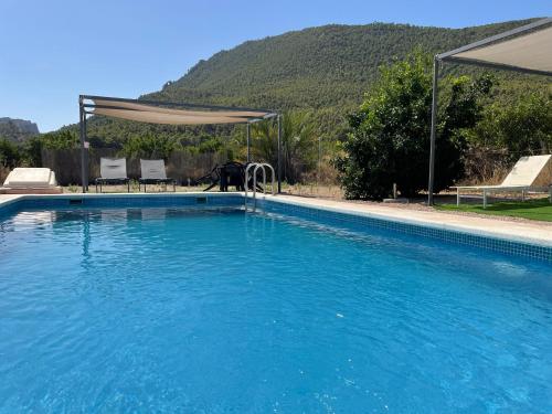 a dog is standing next to a swimming pool at Casas Amarillas. Finca el Campillo in Blanca