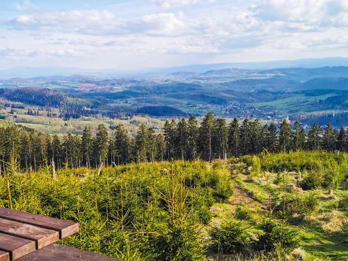 a wooden bench sitting on top of a grassy hill at Sowie Chatki - domki z widokiem na Góry Sowie in Sokolec