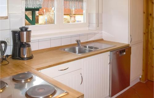 eine Küche mit einer Spüle und einer Arbeitsplatte in der Unterkunft Landhaus Residenz in Losentitz