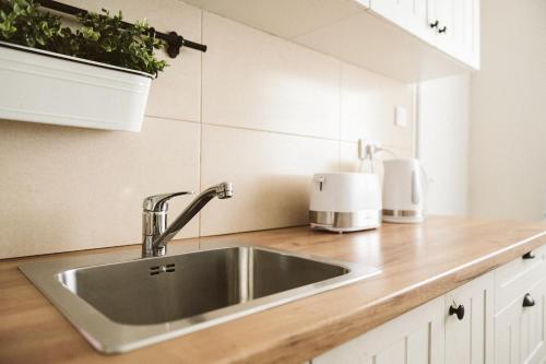 a kitchen counter with a stainless steel sink at Lanas Dreamhouse in Babe
