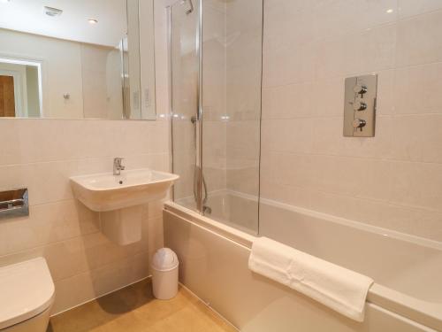 a bathroom with a shower and a sink and a toilet at Pebble Bay in Bideford