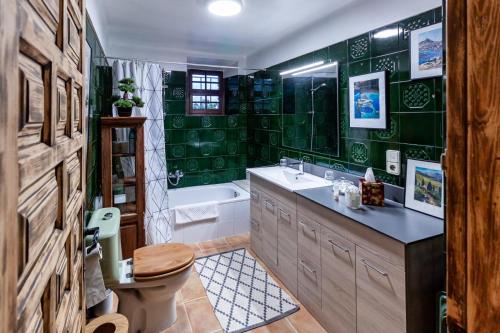 a bathroom with a toilet and a sink and a tub at Masia Mimosa Montaña in Darnius