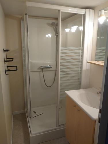 een badkamer met een douche en een wastafel bij Charmant appartement à Gérardmer in Gérardmer