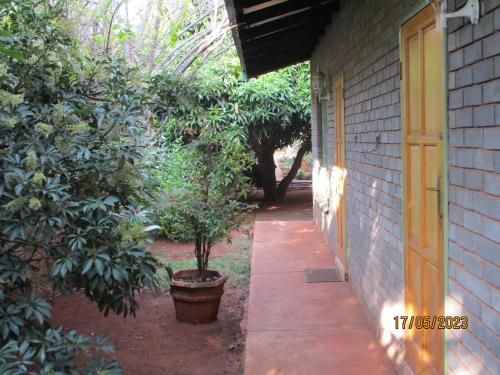 Ein Garten an der Unterkunft Lutea Guest House